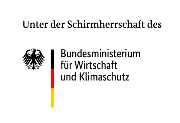 Logo BMWi_Unter Schirmherrschaft